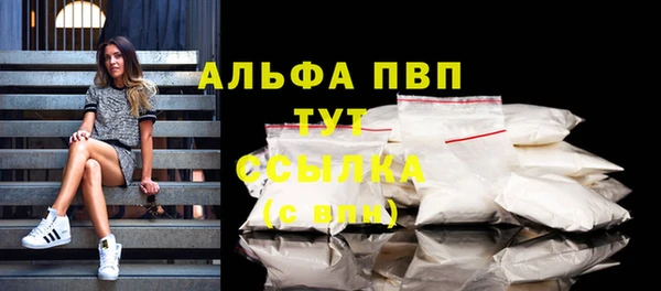 стафф Карпинск