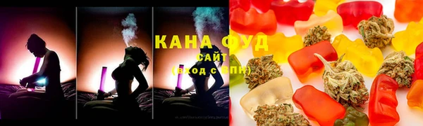 спиды Каменка