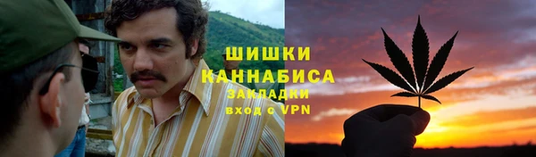 спиды Каменка