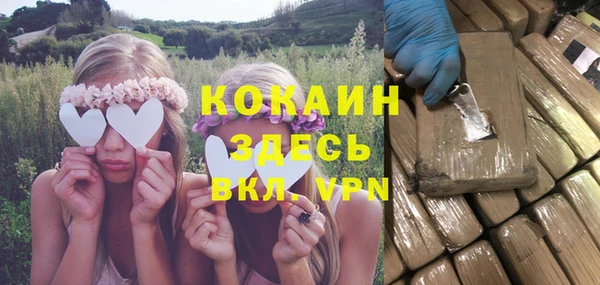 стафф Карпинск