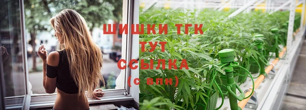 спиды Каменка