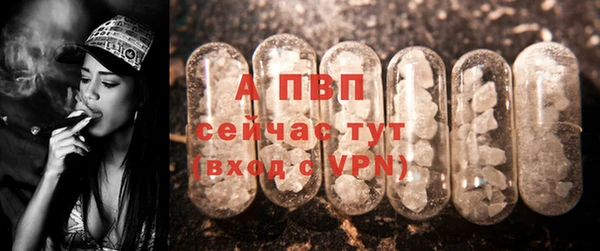 спиды Каменка