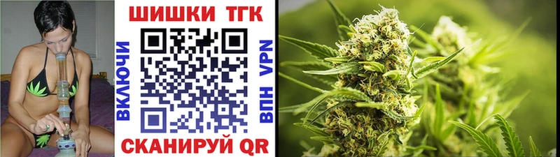 Бошки марихуана THC 21%  Купить где  Бирюсинск 